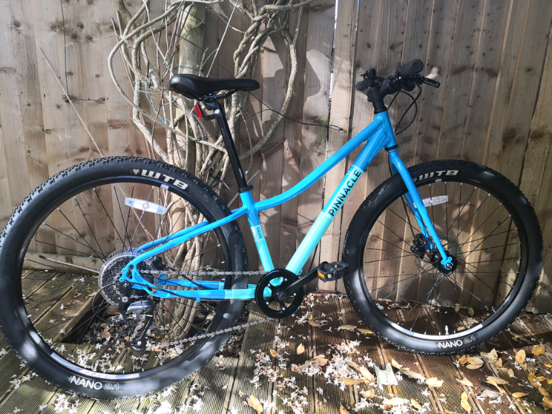 pinnacle kauri 26 inch